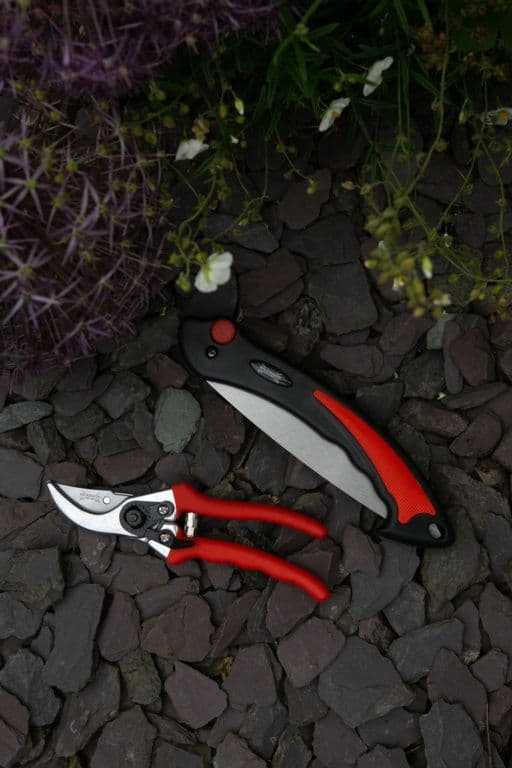 Wilkinson Sword Folding Saw & Pruner Set