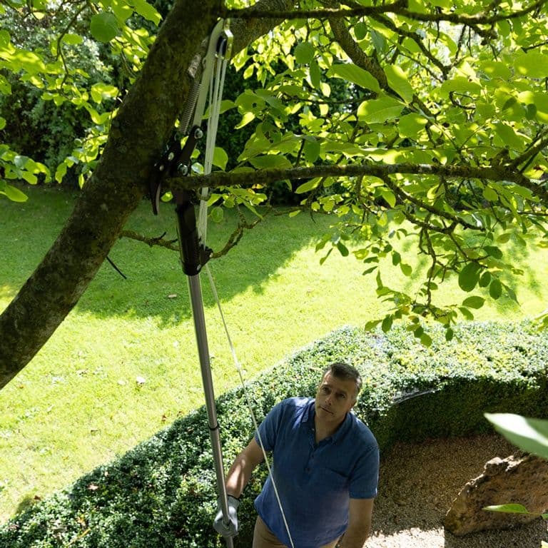 Wilkinson Sword Telescopic Tree Cutter - 25mm
